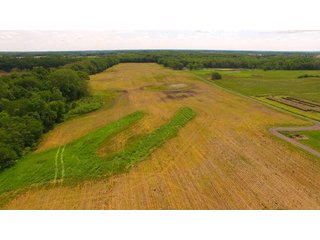 Noble County, Indiana farmland - REAL ESTATE AUCTION - 70+/- ACRES OFFERED IN 3 TRACTS IN NOBLE COUNTY, INDIANA